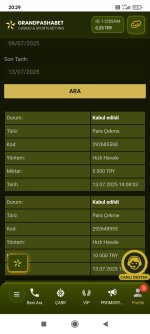 Screenshot_2025-07-13-20-29-51-740_com.android.chrome.jpg