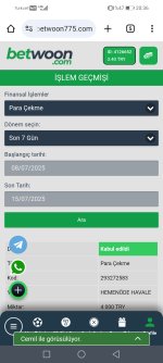 Screenshot_20250715_203609_com.android.chrome.jpg