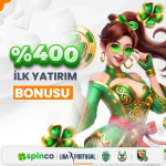 1753153016587.png