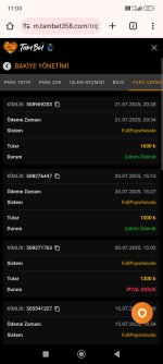 Screenshot_2025-07-22-11-03-18-264_com.android.chrome.jpg
