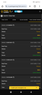Screenshot_20250725-234238.png