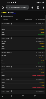 Screenshot_20250727-002010.png