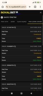 Screenshot_2025-07-27-00-25-43-294_com.android.chrome.jpg