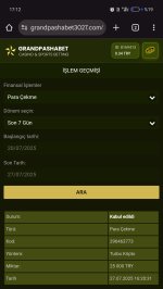 Screenshot_2025-07-27-17-12-16-69_40deb401b9ffe8e1df2f1cc5ba480b12.jpg