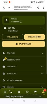 Screenshot_2025-07-28-18-52-46-28_40deb401b9ffe8e1df2f1cc5ba480b12.jpg