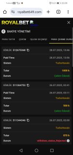 Screenshot_20250728_200940_com.android.chrome.jpg