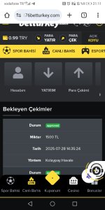 Screenshot_20250728_211139_com.android.chrome.jpg