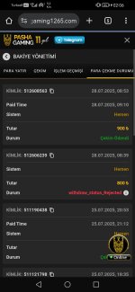 Screenshot_20250729_020620_com.android.chrome.jpg