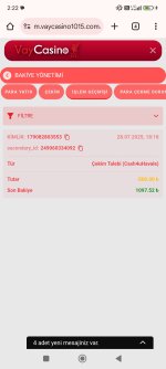 Screenshot_2025-07-29-02-22-23-707_com.android.chrome.jpg