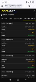 Screenshot_2025-07-29-02-24-43-702_com.android.chrome.jpg