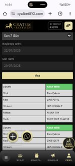 Screenshot_20250729_165401_com_android_chrome_ChromeTabbedActivity.jpg