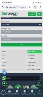 Screenshot_2025-07-31-13-33-52-565_com.android.chrome.jpg