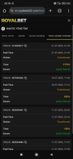 Screenshot_2025-07-31-23-18-16-479_com.android.chrome.jpg