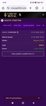 Screenshot_2025-08-01-00-40-46-541_com.android.chrome.jpg
