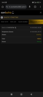 Screenshot_2025-08-01-08-42-49-307_com.android.chrome.jpg