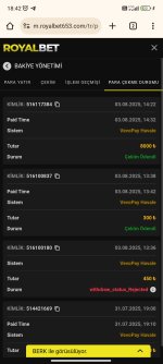 Screenshot_2025-08-03-18-42-12-779_com.android.chrome.jpg