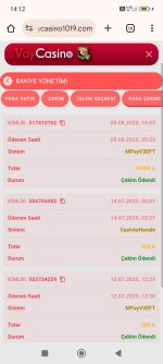 Screenshot_2025-08-06-14-12-49-896_com.android.chrome.jpg