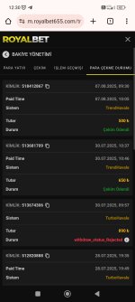 Screenshot_2025-08-07-12-30-06-287_com.android.chrome.jpg