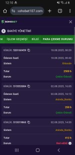 Screenshot_20250810-121017_Chrome.jpg