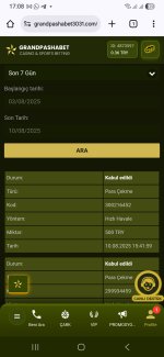 Screenshot_20250810_170833_Chrome.jpg