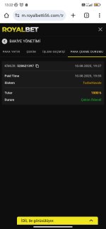 Screenshot_2025-08-11-13-22-23-397_com.android.chrome.jpg