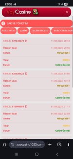 Screenshot_20250814_223954_Chrome.jpg