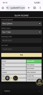 Screenshot_20250815_001803_com_android_chrome_ChromeTabbedActivity.jpg