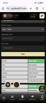 Screenshot_20250815_030348_com_android_chrome_ChromeTabbedActivity.jpg