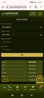 Screenshot_2025-08-17-17-41-44-396_com.android.chrome.jpg