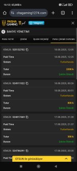 Screenshot_2025-08-18-16-13-41-437_com.android.chrome.jpg