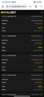 Screenshot_2025-08-18-20-32-30-764_com.android.chrome.jpg