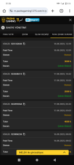 Screenshot_20250819-010600.png