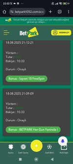 Screenshot_2025-08-18-22-03-07-962_com.android.chrome.jpg
