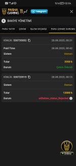 Screenshot_20250828_020453_com.android.chrome.jpg