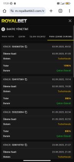 Screenshot_2025-09-03-17-31-51-949_com.android.chrome.jpg