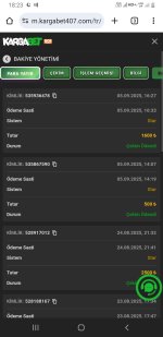 Screenshot_20250905-182348_Chrome.jpg