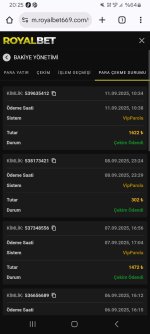 Screenshot_20250911_202548_Chrome.jpg