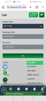 Screenshot_20250912_234230_com.android.chrome.jpg