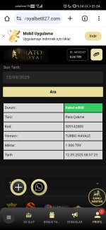 Screenshot_20250913_010419_com.android.chrome.jpg