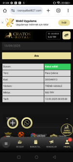 Screenshot_20250913-010902.png