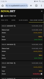 Screenshot_20250913-110501_Chrome.jpg
