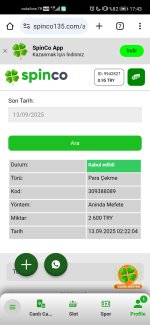 Screenshot_20250913_174332_com.android.chrome.jpg