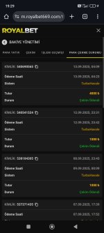 Screenshot_2025-09-13-19-29-18-487_com.android.chrome.jpg