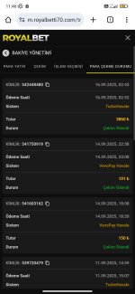 Screenshot_2025-09-16-11-46-56-540_com.android.chrome.jpg