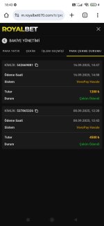 Screenshot_2025-09-16-18-43-53-384_com.android.chrome.jpg