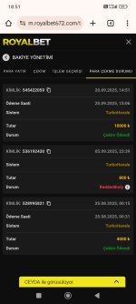 Screenshot_2025-09-20-18-51-46-745_com.android.chrome.jpg
