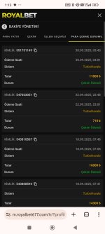 Screenshot_2025-10-01-01-13-20-749_com.android.chrome.jpg