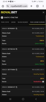 Screenshot_20251009_204301_Chrome.jpg