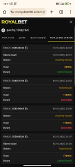 Screenshot_2025-10-10-10-11-43-788_com.android.chrome.jpg