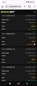 Screenshot_2025-10-16-23-07-08-062_com.android.chrome.jpg